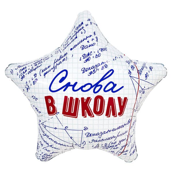 Звезда Ag «Снова в школу» 18″