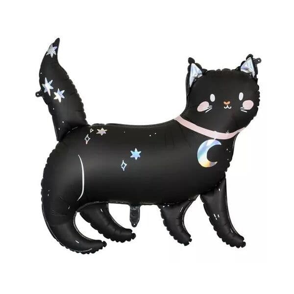 PD «Черная кошка»